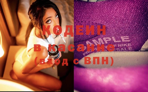 дживик Белокуриха
