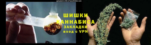 дживик Белокуриха