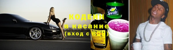 дживик Белокуриха