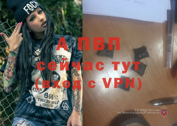 дживик Белокуриха
