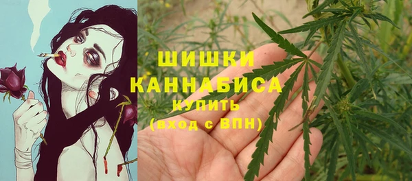дживик Белокуриха